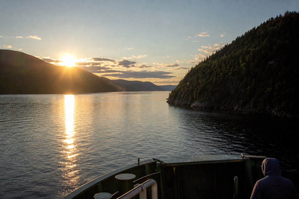 Low golden sunlight across a calm fjord between forested hills, no text, no logos, no people